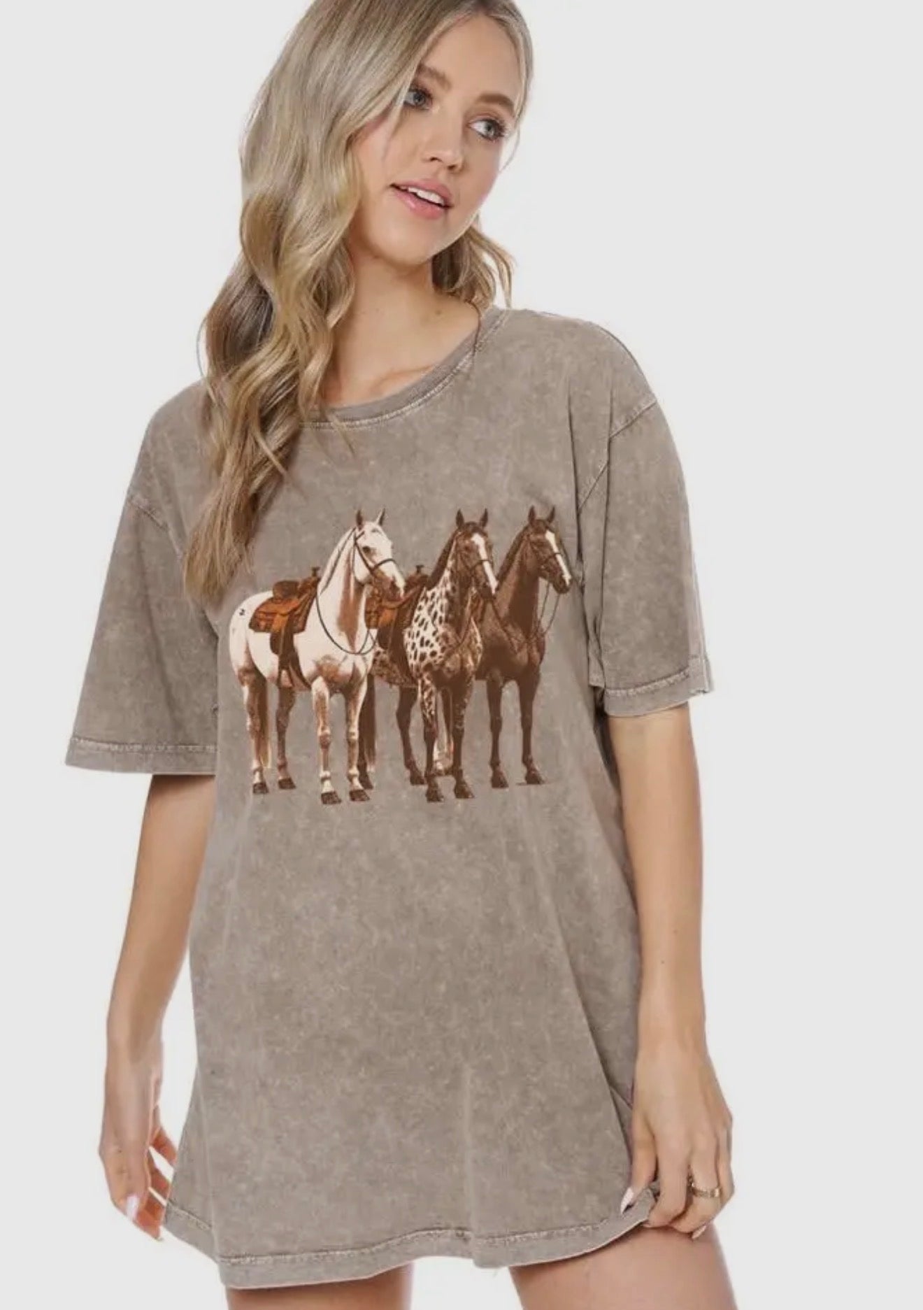 Horse Trio Graphic Boyfriend Tee